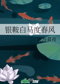 沧海暮夜的小说大理寺第一主薄