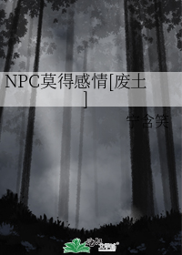 Npc莫得感情废土 百度网盘