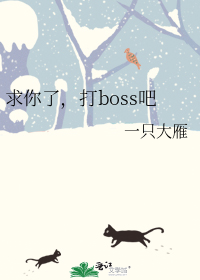 求你了，打boss吧