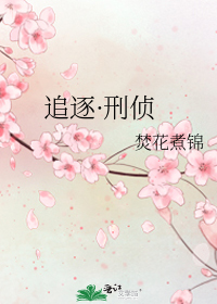 追逐·刑侦作者:焚花煮锦