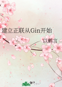 建立正联从gin开始免费阅读