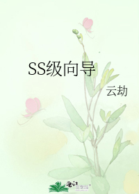 SS级向导