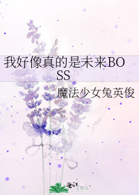 我好像真的是未来BOSS