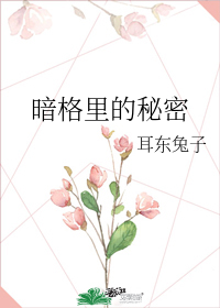 秘密箱忘记密码怎么打开