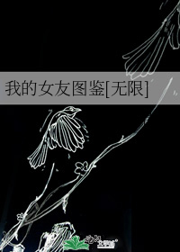 我的女友图鉴[无限]