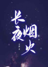 长夜烟火小说