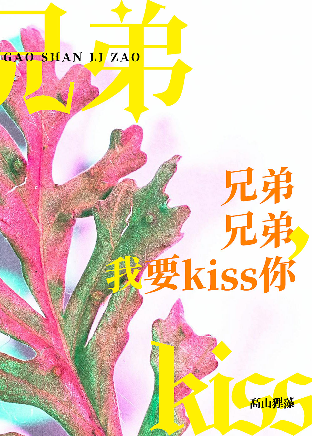 兄弟兄弟我要kiss你结局