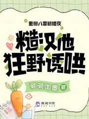 书名:茕茕