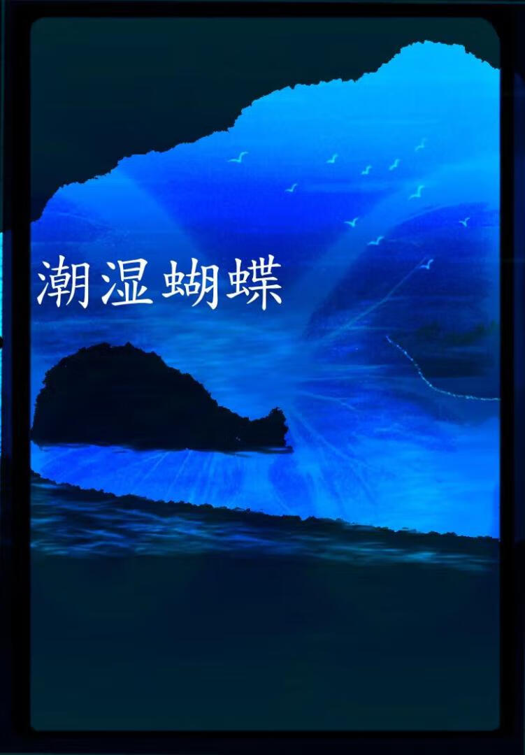 潮湿蝴蝶