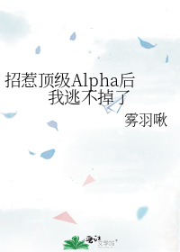 招惹顶级Alpha后我逃不掉了