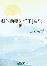 星云沉浮小说