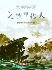  全职法师之铠甲传人 