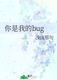 你是我的bug