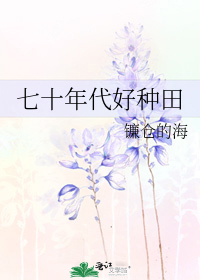 镰仓的海叫什么名字